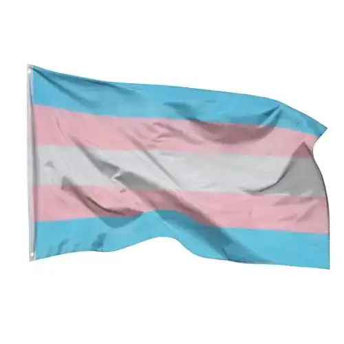 Trans-Flagge PHENO FLAGS mit Messing-Ösen 90 x 150 cm