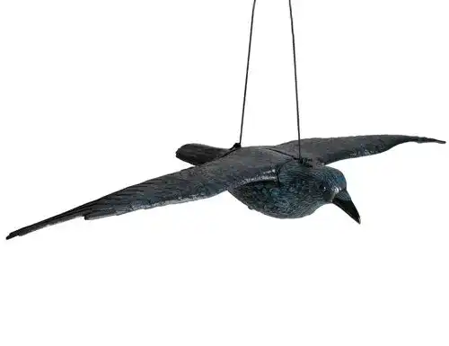 Taubenschreck Hillfield Schwarzer Rabe fliegend 80cm Spannweite