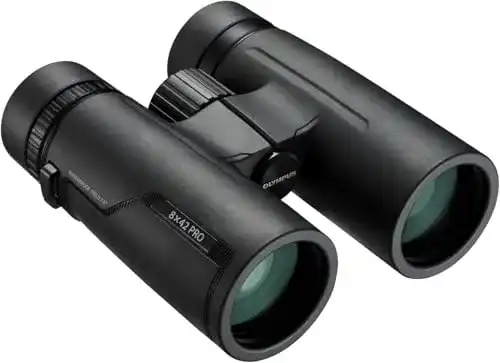 Fernglas 8×42 Olympus 8×42 PRO Fernglas lichtstark, kontrastreich