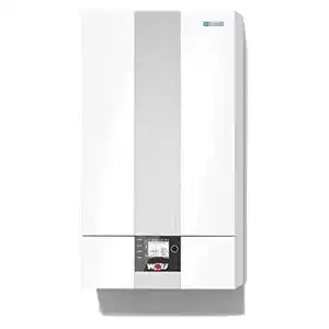 Gastherme Wolf CGB-2 24 kW Gasbrennwerttherme Brennwert
