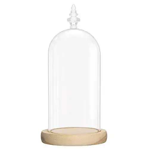 Glasglocke BELLE VOUS Glas Glocke Glaskuppel Groß, Holzboden