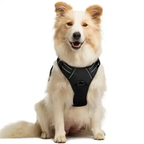 Hundegeschirr mit Brustring rabbitgoo No-Pull Hundegeschirr