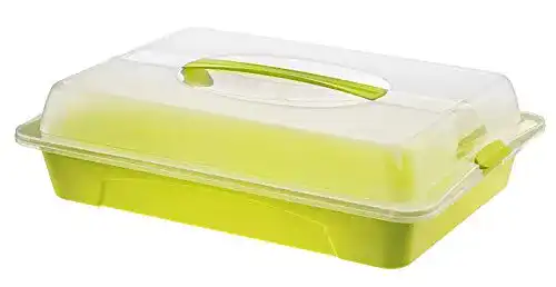 Kuchenbehälter Rotho Cool & Fresh Partybutler mit Kühlung