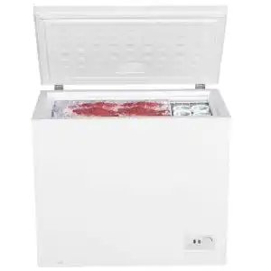 Gefriertruhe 200 Liter PKM Gefriertruhe Froster GT 200.2 E 198 L