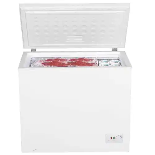 Gefriertruhe 200 Liter PKM Gefriertruhe Froster GT 200.2 E 198 L