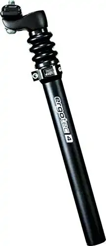 Die beste Ergotec-Sattelstütze ergotec Glide Federsattelstütze 27,2mm 2026 Test Bestseller Ergotec-Sattelstütze ergotec Glide Federsattelstütze 27,2mm