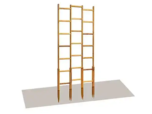 Rankgitter (Holz) robinia-pro Rankgitter aus Robinienholz