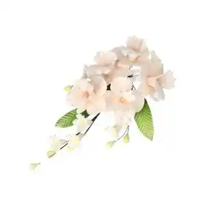 Torten-Deko Cake Company Zuckerblumenboquet Orchidee