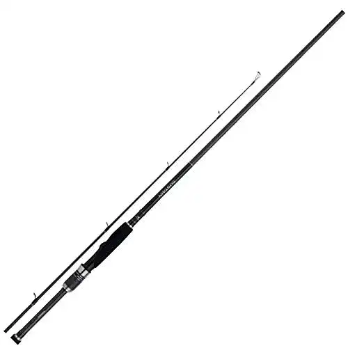 Spinnruten SHIMANO Sustain AX 9’0″