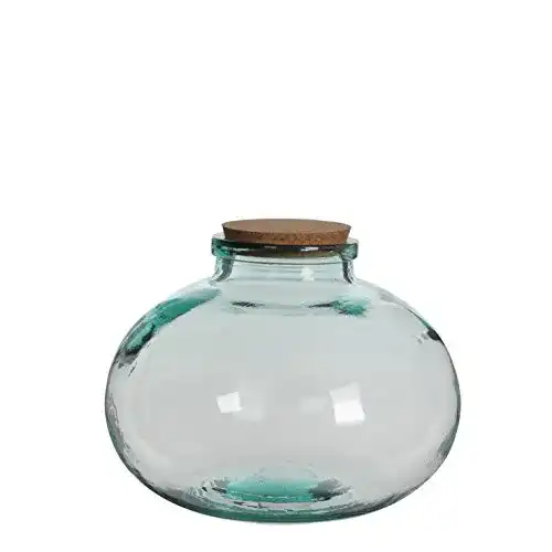 Flaschengarten Glas MICA Decorations Mica Olly Vase, Glas, Kork