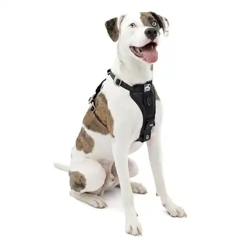 Hundegeschirr mit Brustring Kurgo Tru-Fit, Hunde von 11 bis 23 kg