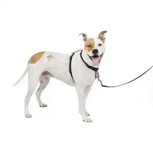 Hundegeschirr mit Brustring PetSafe 3-in-1, mit Rückhaltegurt
