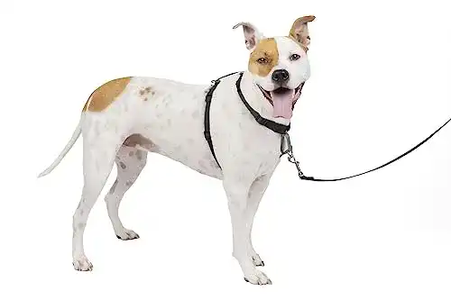 Die beste Hundegeschirr mit Brustring PetSafe 3-in-1, mit Rückhaltegurt 2026 Test Bestseller Hundegeschirr mit Brustring PetSafe 3-in-1, mit Rückhaltegurt