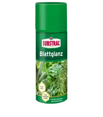 Blattglanzspray Substral Blattglanz, für alle Grünpflanzen, 200 ml