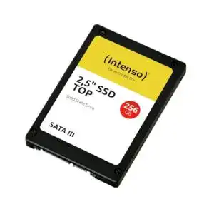 Intenso-SSD Intenso 3812440 interne SSD-Festplatte 256GB