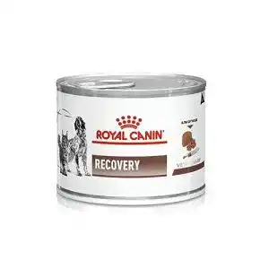 Royal-Canin-Nassfutter Hund ROYAL CANIN Recovery 12 x 195 g