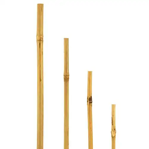 Bambusleiste bellissa, Bambusstäbe als Rankstab, 15 STK, 120 cm