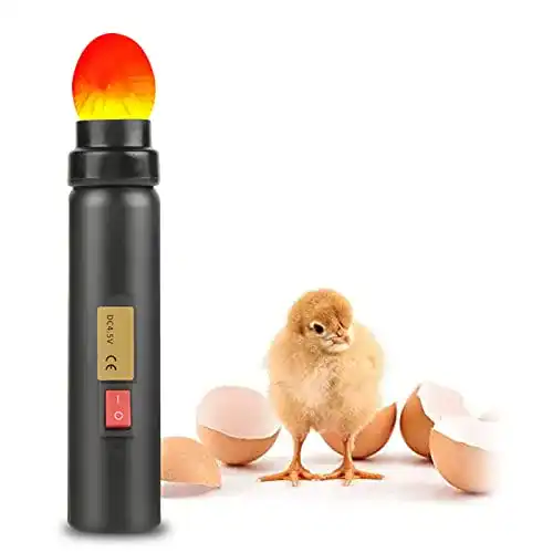 Schierlampe Qkiss LED Ei Candler, Eier Fruchtbarkeitsprüfer