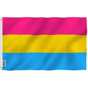 Pan-Flagge Anley Fly Breeze 3×5 Fuß Pansexual Pride Flag
