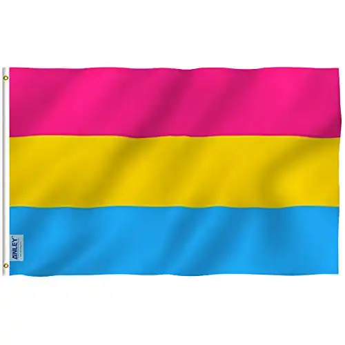 Pan-Flagge Anley Fly Breeze 3×5 Fuß Pansexual Pride Flag