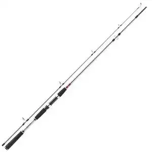 Daiwa-Ruten Daiwa Seahunter X Seatrout 3,10m 10-40g