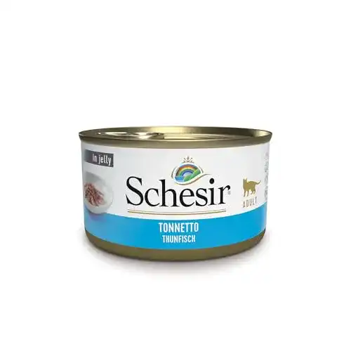 Die beste Schesir-Katzenfutter Schesir Cat Jelly Thunfisch, Gelee, 24 x 85 g 2026 Test Bestseller Schesir-Katzenfutter Schesir Cat Jelly Thunfisch, Gelee, 24 x 85 g