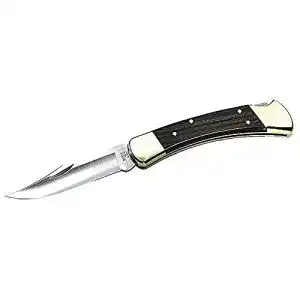 Buck-Messer Buck Taschenmessser Folding Hunter 110