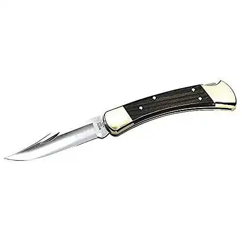 Buck-Messer Buck Taschenmessser Folding Hunter 110