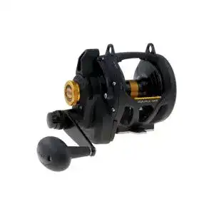Penn-Rollen Penn Squall Lever Drag 2 Speed Multirolle Salzwasser