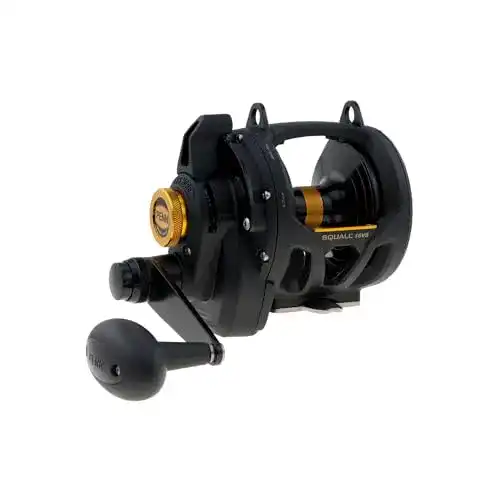 Die beste Penn-Rollen Penn Squall Lever Drag 2 Speed Multirolle Salzwasser 2026 Test Bestseller Penn-Rollen Penn Squall Lever Drag 2 Speed Multirolle Salzwasser