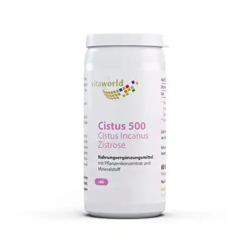Cistus-Kapseln Vita World Cistus 500 Cistus Incanus Zistrose