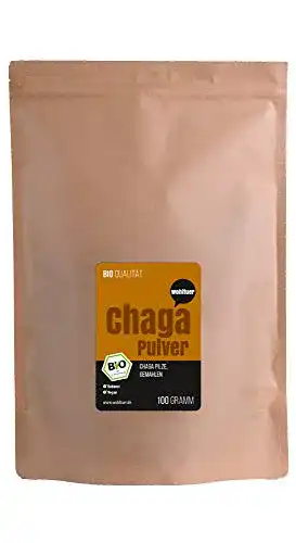 Chaga-Pilz Wohltuer Bio Chagapulver 100g in Rohkostqualität
