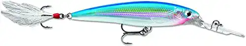Die beste Rapala-X-Rap Rapala X-Rap Deep 10 Angelköder, 10,2 cm 2026 Test Bestseller Rapala-X-Rap Rapala X-Rap Deep 10 Angelköder, 10,2 cm