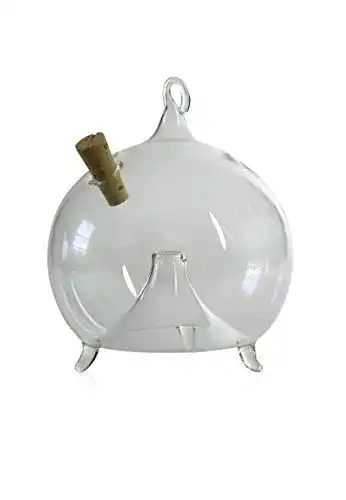 Die beste Fruchtfliegenfalle Lauschaer Glas Fliegenfalle zum Stellen u. Hängen 2026 Test Bestseller Fruchtfliegenfalle Lauschaer Glas Fliegenfalle zum Stellen u. Hängen