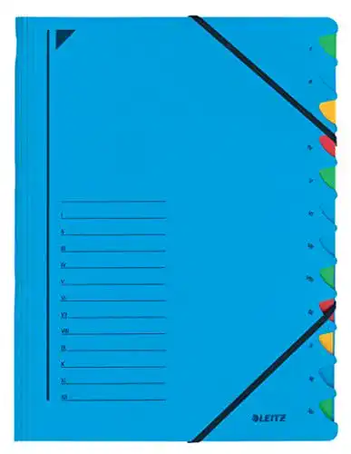Sammelmappe Leitz 39120335 Ordnungsmappe A4, 12 Fächer