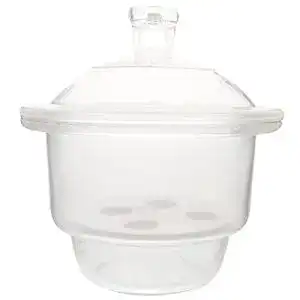 Exsikkator iplusmile 150Mm Labor Glas Vakuum Jar Trockner