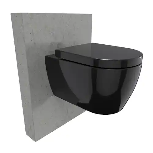 Bernstein-WC BERNSTEIN Wand-WC NT2038 Schwarz, Spülrandlos