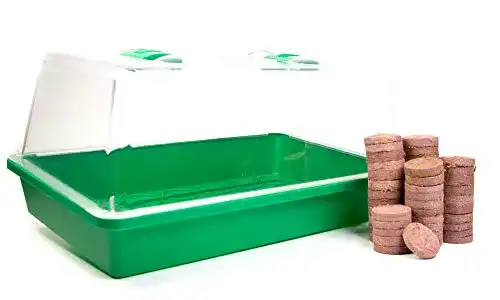 Zimmergewächshaus mgc24 Greenhouse Anzuchtset – Anzuchtschale mit Deckel