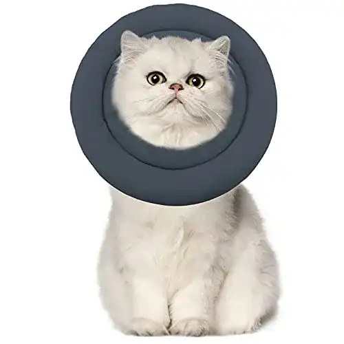 Halskrause Katze Supet Halskrause Hund Katzen, weich