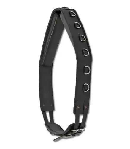 Longiergurt Waldhausen , Leder, Warmblut, schwarz