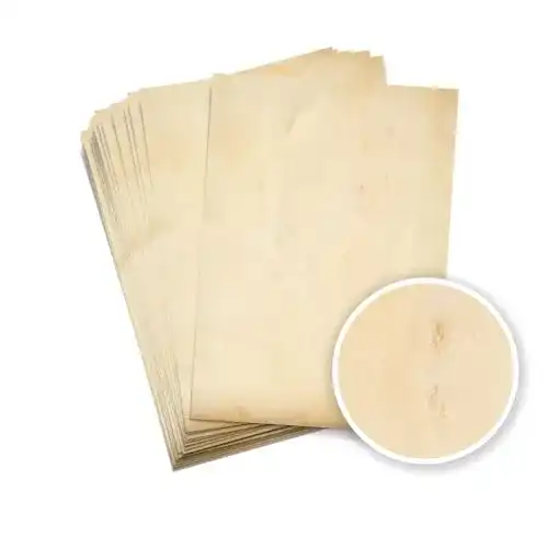 Die beste Vintage-Papier Partycards 50 Blatt, Pergamentpapier Optik, A4 2026 Test Bestseller Vintage-Papier Partycards 50 Blatt, Pergamentpapier Optik, A4