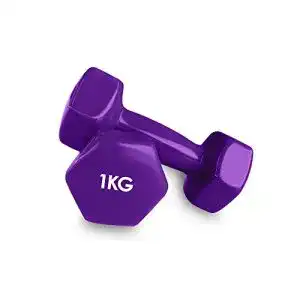 Hanteln 1 kg Focus Sport 2er Set Vinyl Hanteln Paar