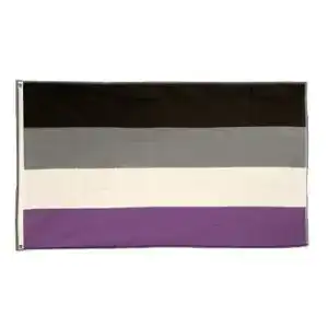 Asexuell-Flagge Flaggenfritze Flagge Asexuell 90 x 150 cm