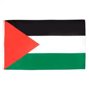 Palästina-Flagge AZ FLAG Flagge PALÄSTINA 90x60cm