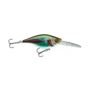 Daiwa-Wobbler Daiwa Prorex Crank BT80DR l. Rainbow tr. Wobbler