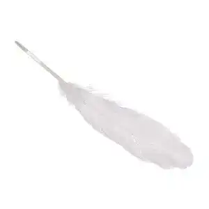 Gänsefedern TEXTIMO Echte /Federn”WEISS” 8 Stück 16-21 cm