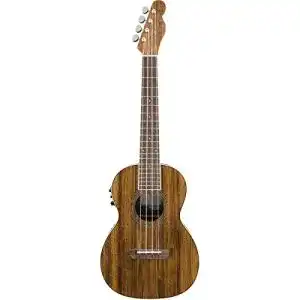 Fender-Ukulele Fender Rincon Tenor-Ukulele