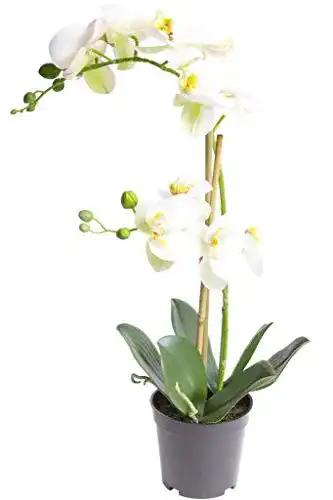 Künstliche Orchidee Nova-Nature Bora schwarzer Kunststofftopf