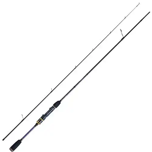 Spinnruten WFT Spinnrute Angelrute Raubfisch Rute – Penzill Blackberry Spin 1,95m 2-7g