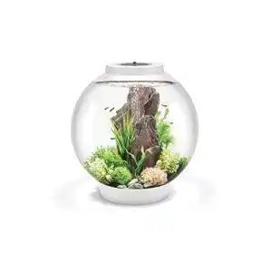 rundes Aquarium biOrb 71999 CLASSIC 60 LED weiß, Acryl-Glas